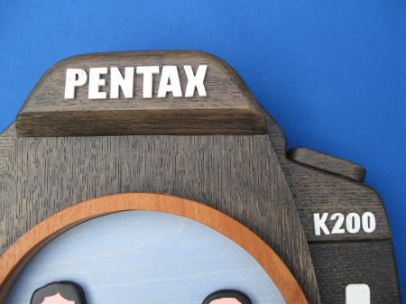 Feւ̑蕨FƑ̎GuJiNIKON K200jv̊|v